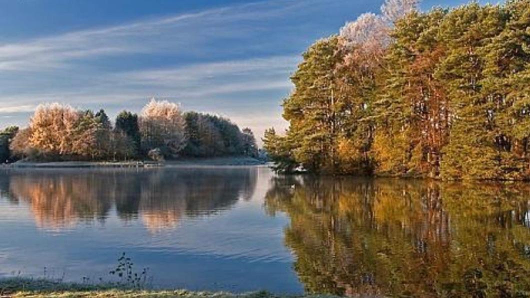 Tranquil Accommodation In A Great Location. Lanark Zewnętrze zdjęcie